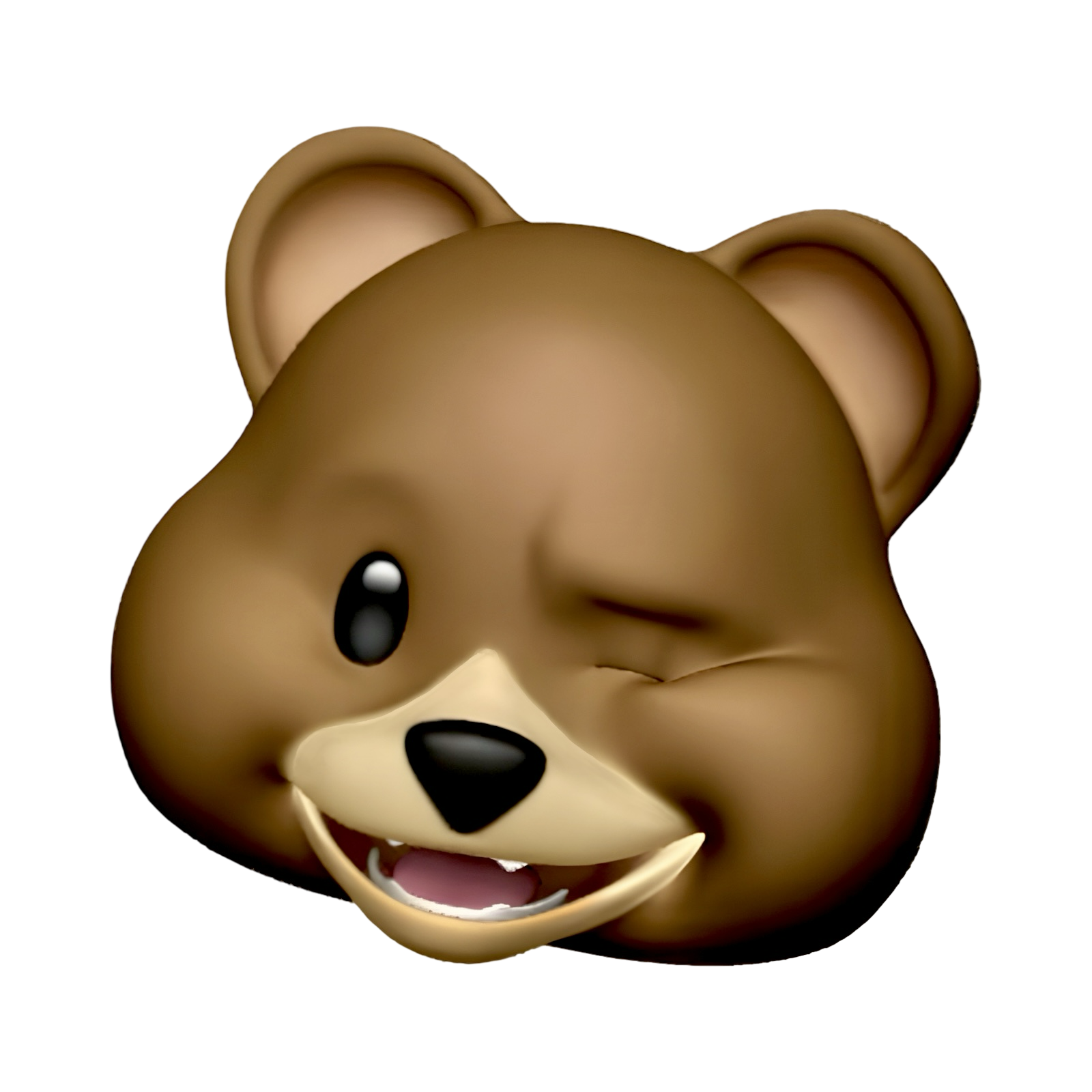 $BEAR winking bear head